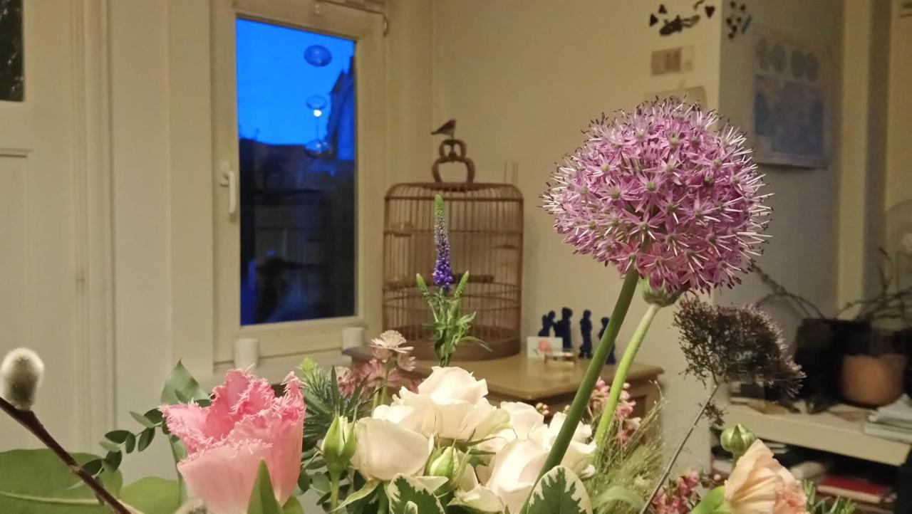 Bed and Breakfast Rachel Bruges Esterno foto