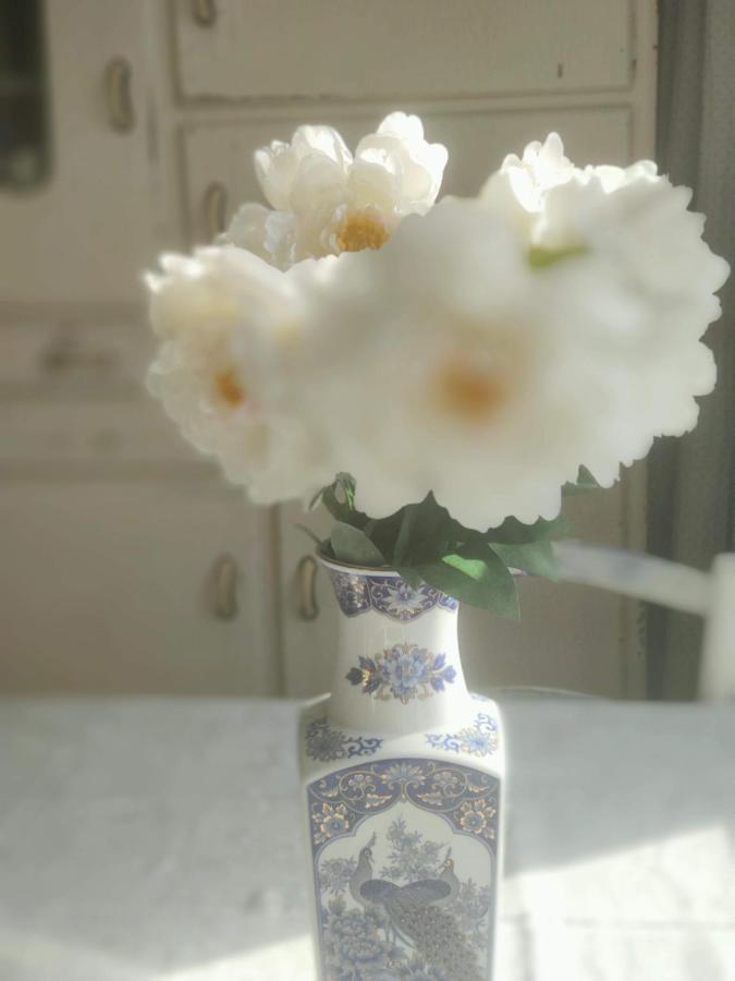 Bed and Breakfast Rachel Bruges Esterno foto